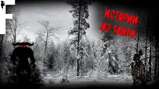 ИСТОРИИ ИЗ ТАЙГИ! Страшные Истории На Ночь!