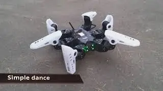 AIWM Hexapod v1.00