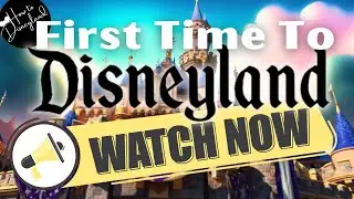 Entire Disneyland Resort Explained! 2024 Guide