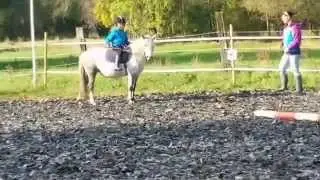 Coco erste Reitstunden