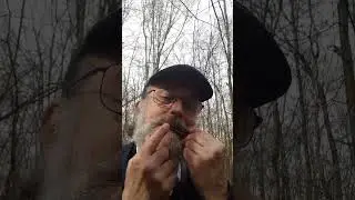 Встречаю весну с мунхарпой Дмитрия Бабаева