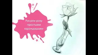Рисуем Розу В Вазе Простым Карандашом! 🌹Урок графики для начинающих 👩🏻‍🎨