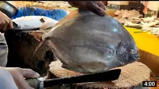 # Big Rui Fish cutting skills || cleaning # Rui  Fish 🐠🐟🐠🐠
