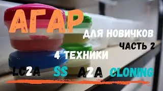 Для Новичков - Как сделать Агар для грибов Ч2 (Инокуляция)