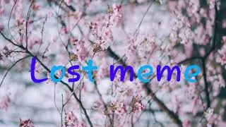 Lost meme|читать описание