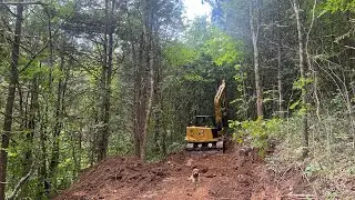 Tiny Home Community a Mountain Paradise for $300 per month 🏡🇺🇸😉🤩🦬🏘️