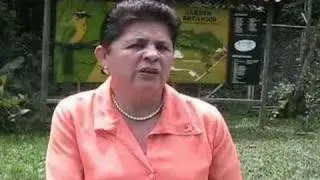 De la docencia presencial a la tutoría virtual