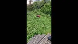 Willie RC plenklipper