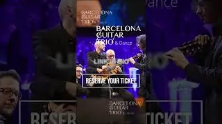 Immerse yourself in the passion of flamenco guitar in our show!