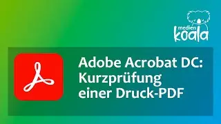 [Adobe Acrobat DC] Kurzprüfung einer Druck-PDF