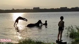 Отдых на речке с нашей Английской кобылой, Халиме.