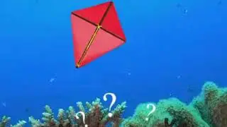 Kenalan dengan Pari Manta si Layangan Laut