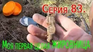 Коп по войне.ПРО КОП.Серия 83.Жировка!  