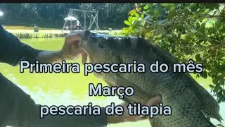 PRIMEIRA PESCARIA DE MARÇO 2024 ( PESCARIA DE  TILAPIAS)   pesca na diária...