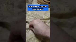 20 августа 2024 г.