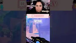 When Kimchi wants attention, no one can stop her 🐈‍⬛️😘 #twitch #gaming #valorant