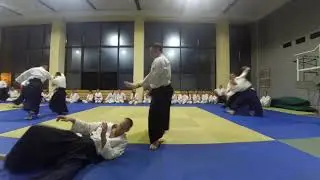 合気道 合気会 Aikido Shomen uchi Jiyu Waza