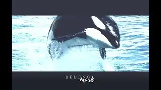Belong - Inouk ♥