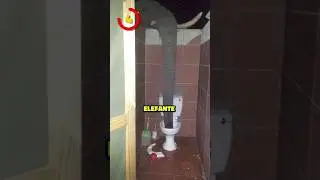 5 FOTOS Que Te Dejarán PENSANDO...
