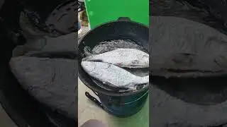 солоденька смажена рибка на природі