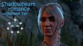 Baldur's Gate 3 |Shadowheart romance w/SelûniteTav - Companions about the Shadowfell events