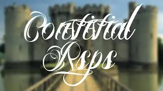 New Rsps! Convivial Rsps | Needs Staff | Customs