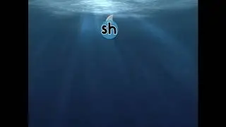 Introducing SH Digraph!