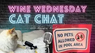 Travel Cat Mom is live!