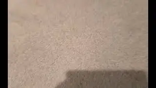 gymnastics
