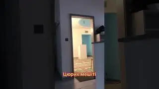 ЦЮРИХ МЕШІТІ 