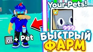 🎁🥚ТОЛЬКО В ТЕЧЕНИИ 3 ЧАСОВ ТЫ МОЖЕШЬ ПОЛУЧИТЬ ЭТОГО HUGE SAFARI CAT В PET SIMULATOR X \ ROBLOX PSX