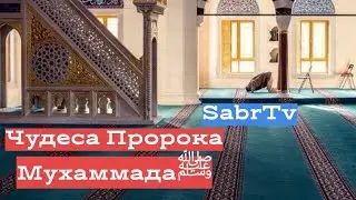 ЧУДЕСА ПРОРОКА МУХАММАДА ﷺ