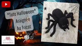 🎃👻*Tuto Halloween* Araignée au Tricot👻🎃