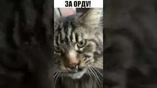 За орду! 😂😂😂 #юмор #приколы #смешныевидео #смехдослез #shorts