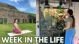 A week in the life of a plant content creator and yoga teacher | Yoga and Plant with Roos