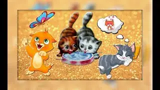 Как кошки проводят свой день