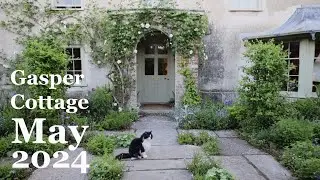 Lush growth in the cottage garden in May