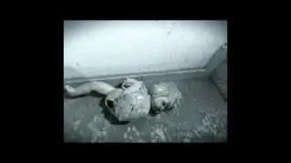 Nightmare-My Phobias Become Real (Stop Motion)