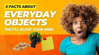 5 Crazy Origins About Everyday Objects Revealed!