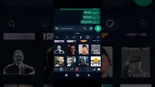 шайлушай как сломать карси бота гайд для чайников