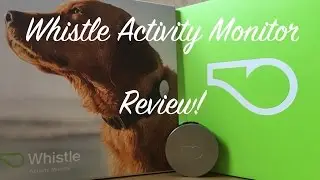 Whistle Dog Activity Monitor Review