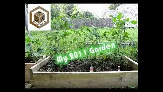 T.B.T recap - Why I stopped gardening in 2011