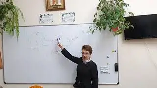 Лекция Т.В. Плесовских об иммунитете