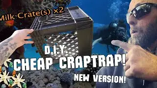 Best Cheap Crab Trap D.y.i. (Special re-edit!)