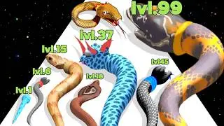 SNAKE Evolution Run 3D - Level Up 'Snake Run Race' (Colorful ASMR Games)