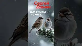 Поёт зима — аукает… (С. Есенин) - [Песни для детей] shorts 