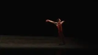 Déjà vu, choreography Petr Zuska