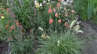FLOWERS August 2023