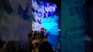 The Ice Age Ride! 