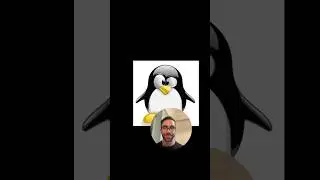 3 Fun Facts about the Linux Operating System in 60 Seconds! #shorts #short #linux #programming #code